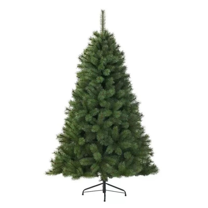 ALBERO CANADA SPRUCE 120CM GRE